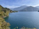 IMG_4431.jpeg