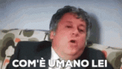 IMG_3420.gif