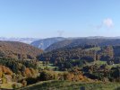 IMG20251013095115.jpg