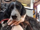 20170628_182549.jpg 20170628_182549.jpg