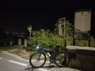 IMG20251018061419.jpg