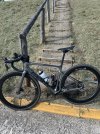 IMG_5104.jpeg