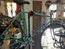 IMG_5035.jpeg