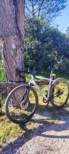 Basso Tera apex