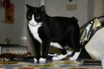 C__Data_Users_DefApps_AppData_INTERNETEXPLORER_Temp_Saved Images_705682_185940401551015_395469...jpg
