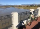 IMG_4770.jpeg