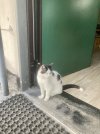 IMG_6821.jpeg