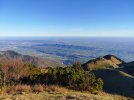 IMG_20251106_173957.jpg