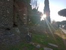 IMG_20251109_081206819.jpg