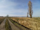 20251112_133447.jpg