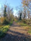 IMG_20251123_123510.jpg