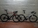coppia colnago.jpg coppia colnago.jpg