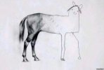 horse-drawing.jpg horse-drawing.jpg