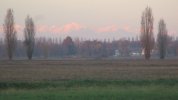 IMG_3897.JPG