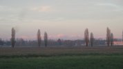IMG_3895.JPG