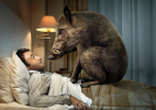 cinghiale-brioschi.png cinghiale-brioschi.png
