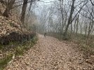 IMG_4691.jpeg