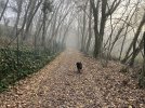 IMG_4692.jpeg