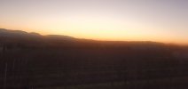 20251214_074316.jpg