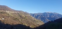 20251214_104351.jpg