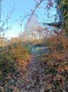 IMG_20251214_100316.jpg