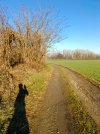 IMG_20251214_095154.jpg