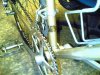 lazzaretti04.jpg