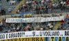 MOGGI3.jpg