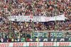 moggi9.jpg