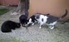 20111201_162600.jpg