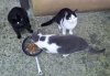 20111201_162638.jpg