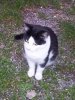 20111201_162527.jpg
