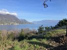 IMG_4709.jpeg