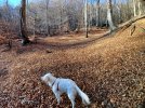 20251227_133022.jpg
