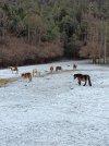 IMG_20260103_133507.jpg