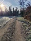 IMG_20260105_095104.jpg