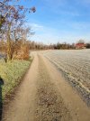 IMG_20260105_095108.jpg