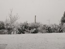 20260106_102653.jpg