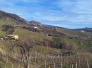 20260110_124249.jpg 20260110_124249.jpg