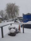 20260111_090116.jpg 20260111_090116.jpg