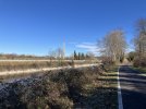 IMG_4761.jpeg