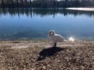 IMG_4762.jpeg