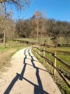 IMG_20260111_113647.jpg
