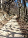 IMG_20260111_121322.jpg