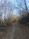 IMG_20260111_122712.jpg