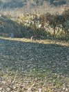 IMG_20260111_133452.jpg