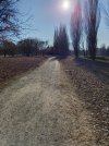 IMG_20260111_133657.jpg
