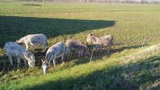 IMG-20260111-WA0008.jpeg