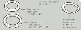 IMG_7564.jpeg