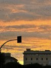 IMG_0806.jpeg
